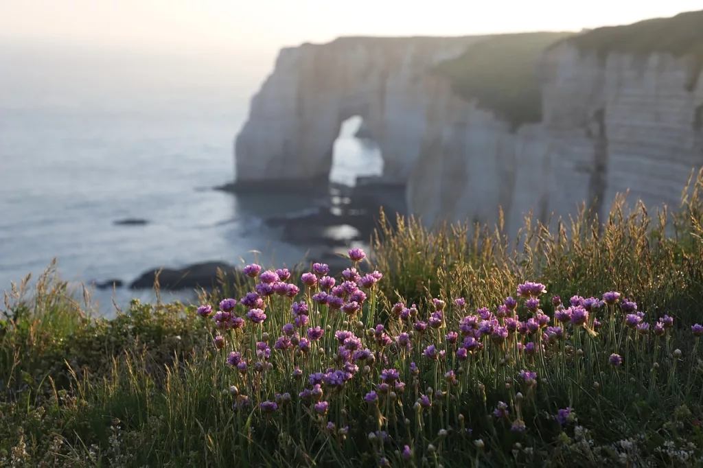 Normandy Etretat