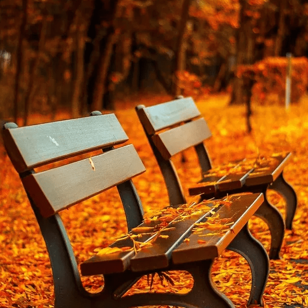 benches-560435_1280-jpg-1280×640 – copie